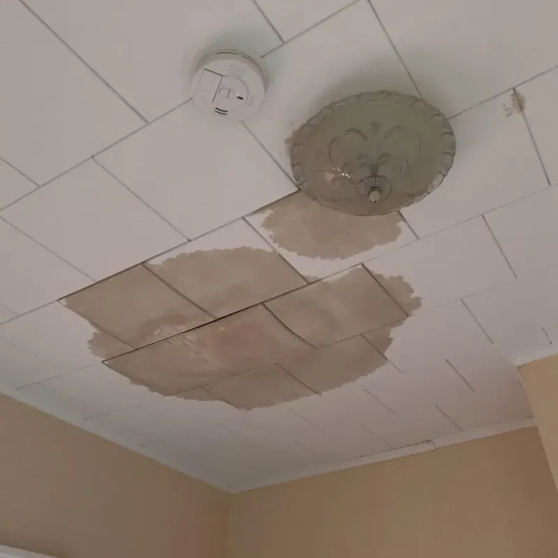 Ceiling Water Damage Repair in Warren County, VA