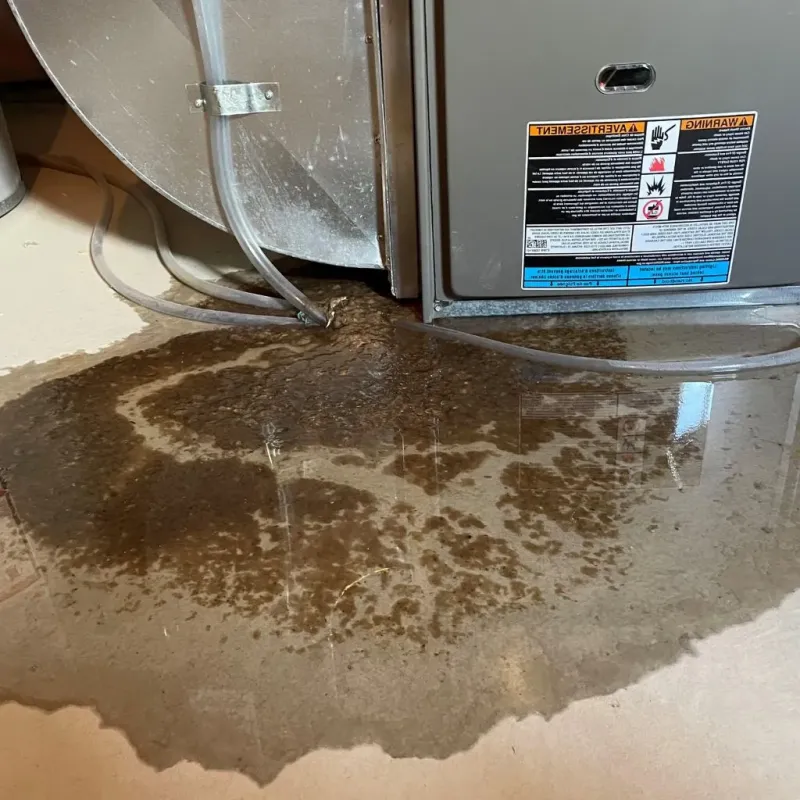 Pipe Burst and Leak Restoration in Warren County, VA