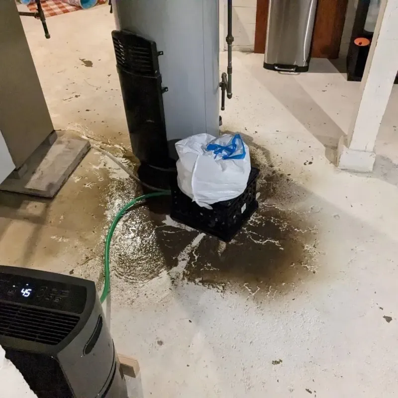 Sewage Backup Cleanup Service in Warren County, VA
